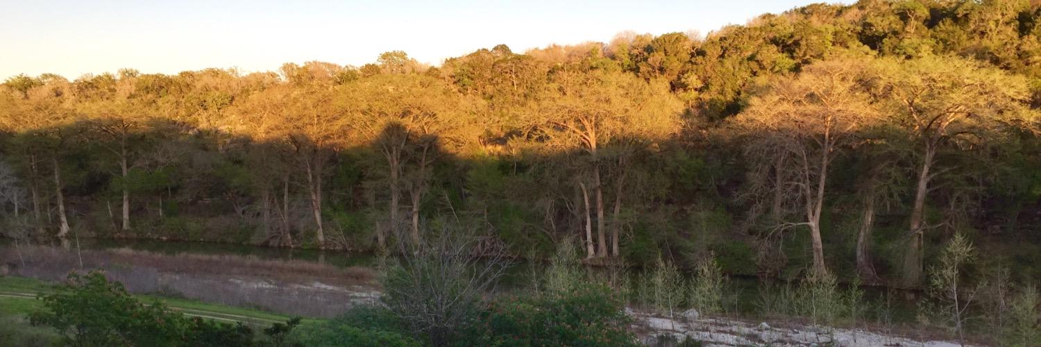 William T Johnson banner