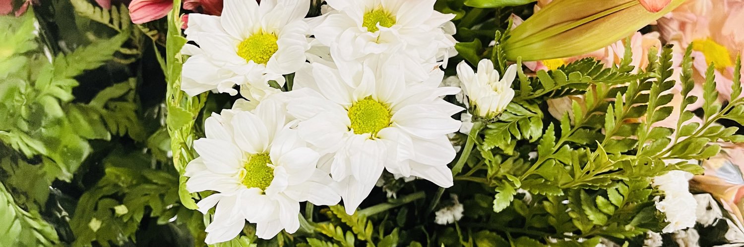valentinarasso_'s profile banner image
