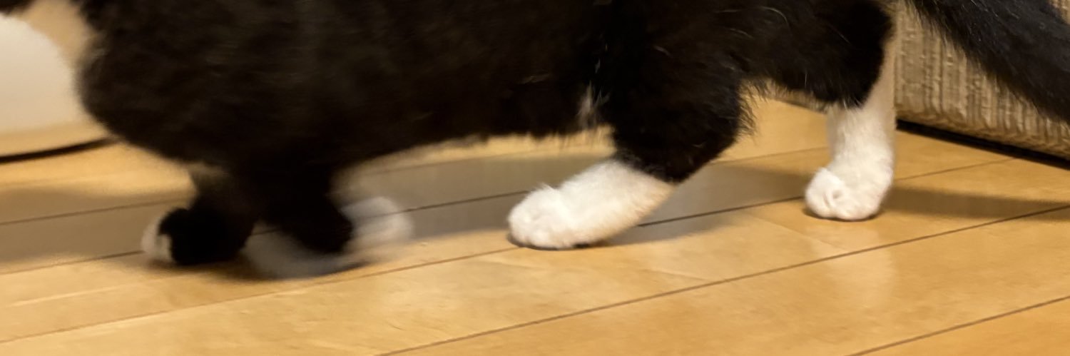 n_snail's profile banner image
