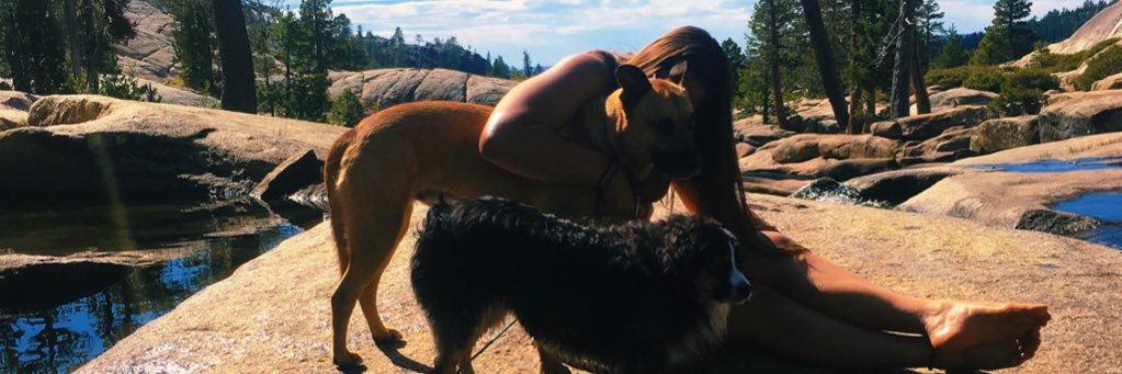 n0L0cals's profile banner image