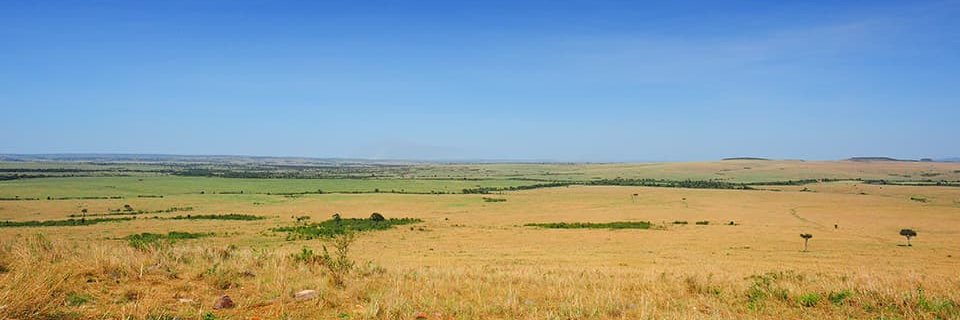 tobewak's profile banner image
