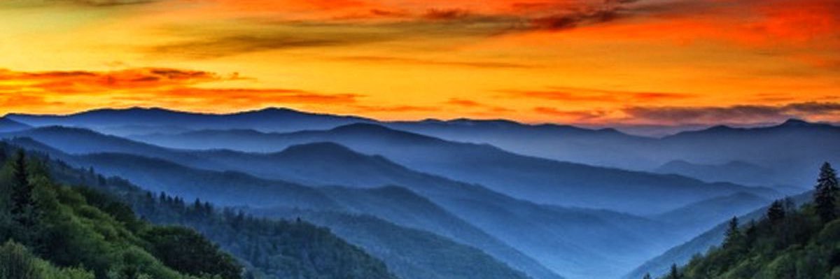 Jake__Latham's profile banner image