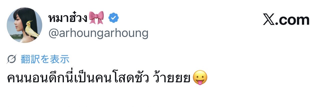 ちょー【โช】🍍 banner