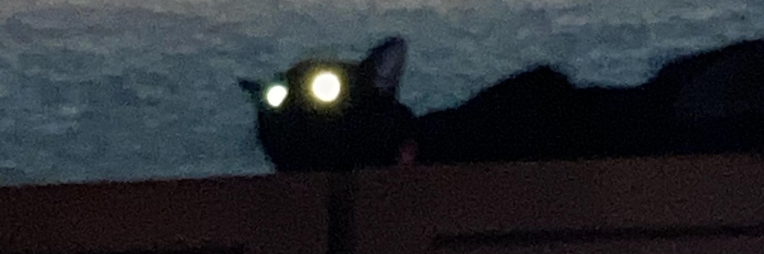 𝖊𝖛𝖎𝖑 𝖈𝖆𝖙 banner