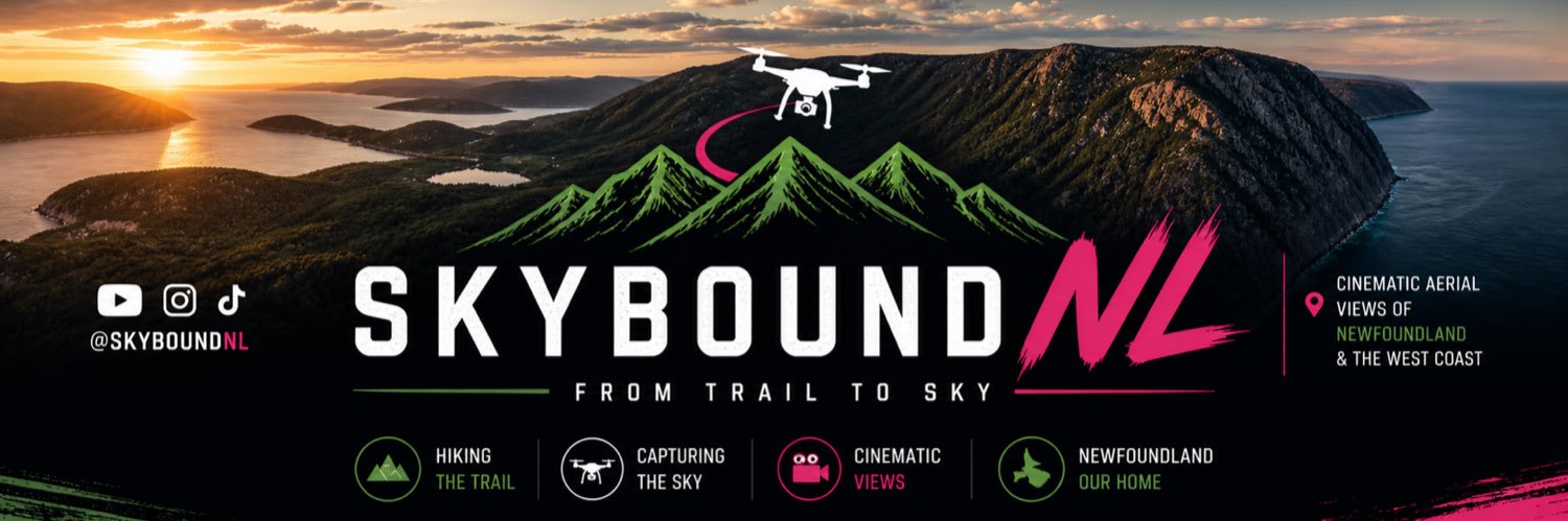 SkyboundNL banner