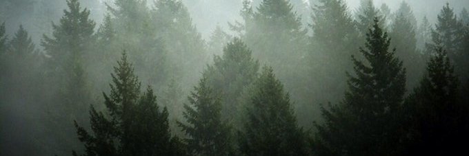 windhoundz's profile banner image