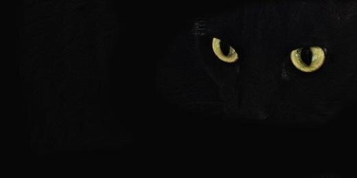 tomscrazyworld's profile banner image