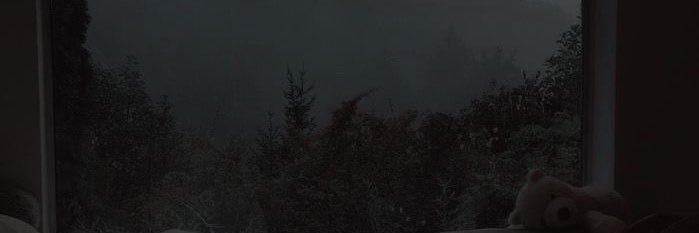 vampiregal98's profile banner image