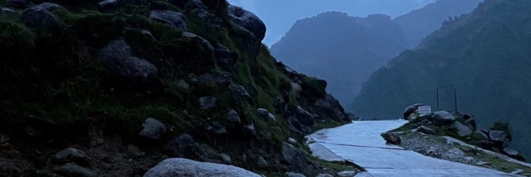 aayushigala's profile banner image