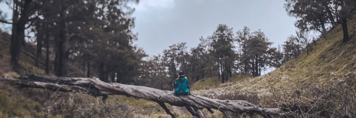 dekdio12's profile banner image