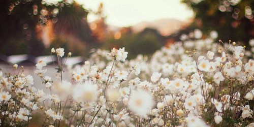 ican_wait's profile banner image