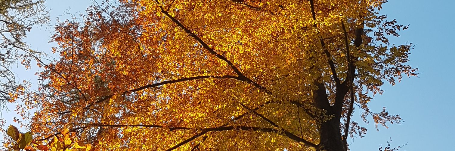tripguide97's profile banner image