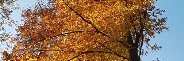 tripguide97 Profile Banner