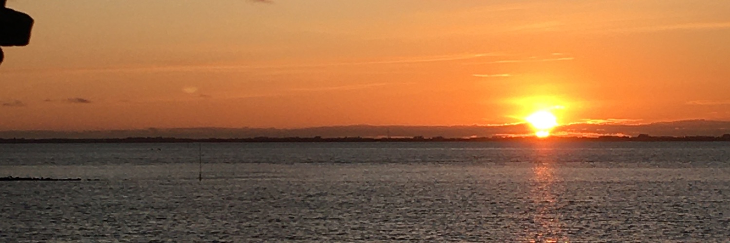 leonardolamas_'s profile banner image