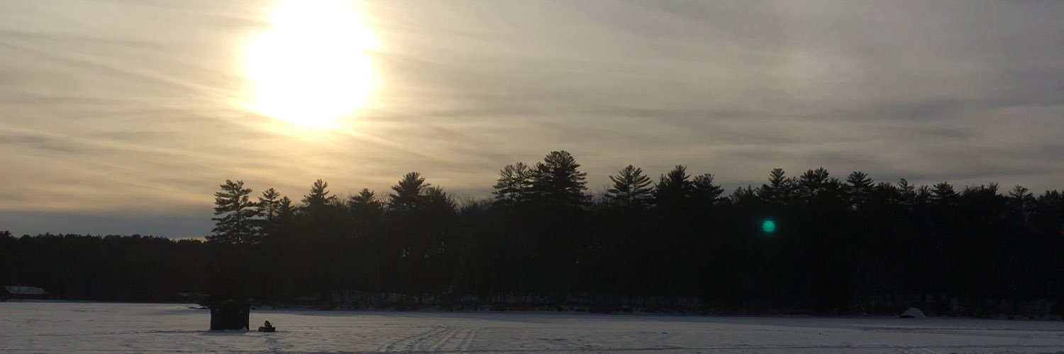 Karen Abraham banner