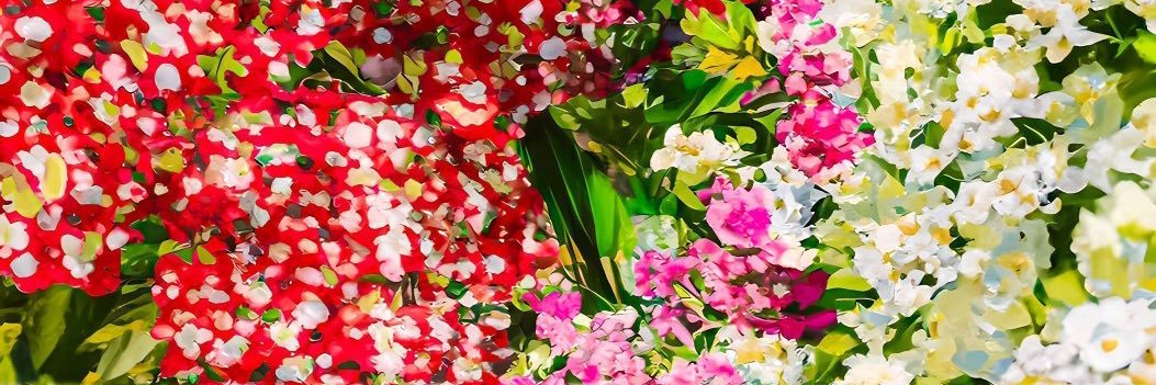 NoyokoOne's profile banner image