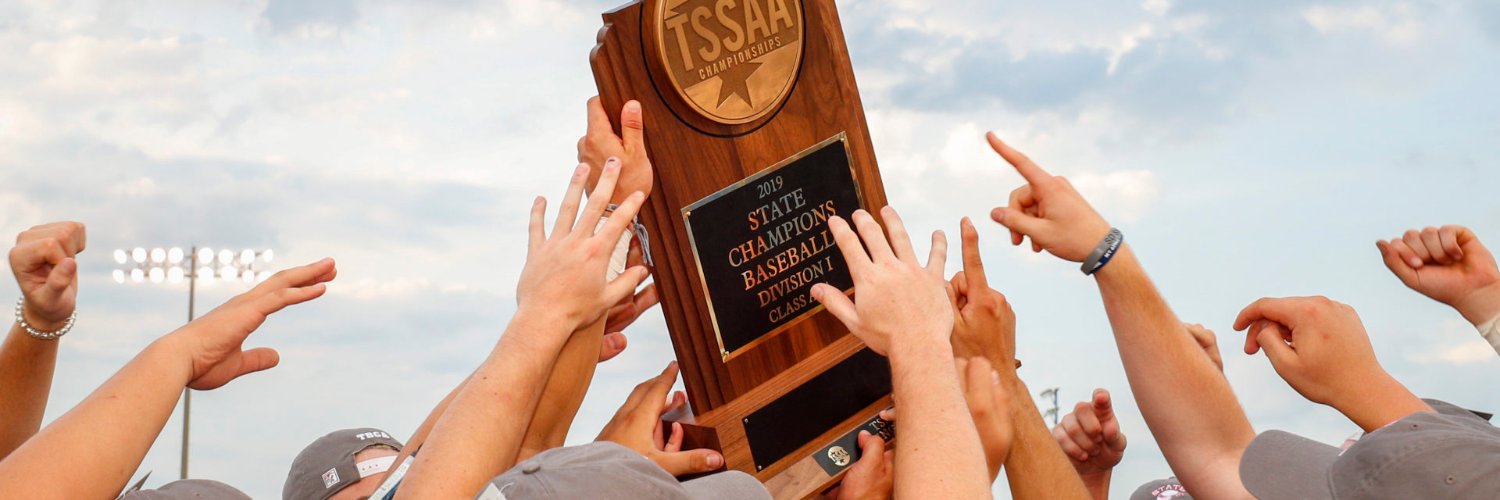 Tennessee Baseball Coaches Association's banner