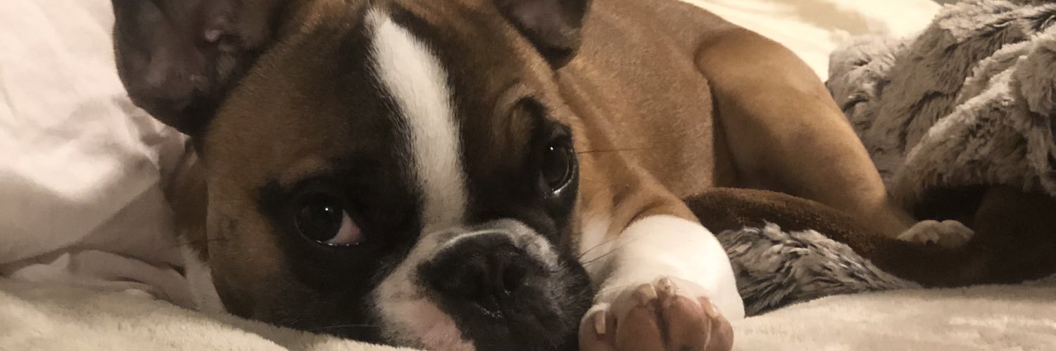 JesBarton's profile banner image