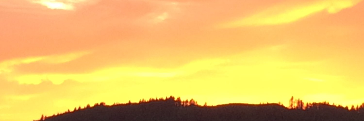 Spiregrain's profile banner image