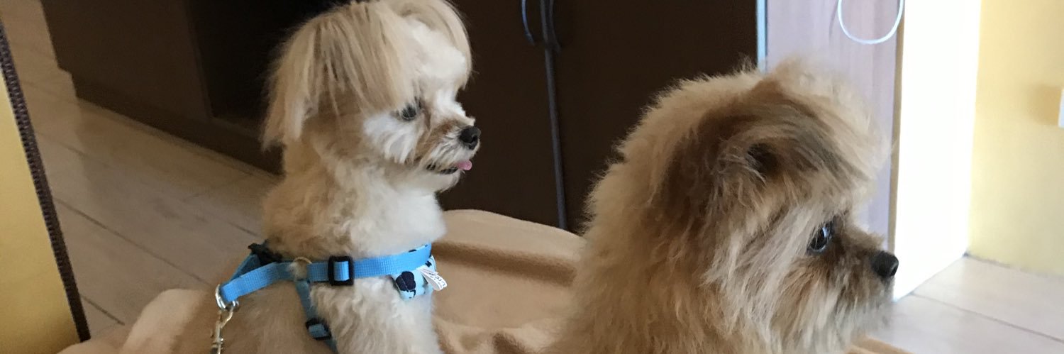 _annechua's profile banner image