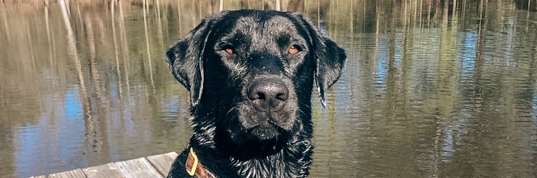 thurmondkylee's profile banner image