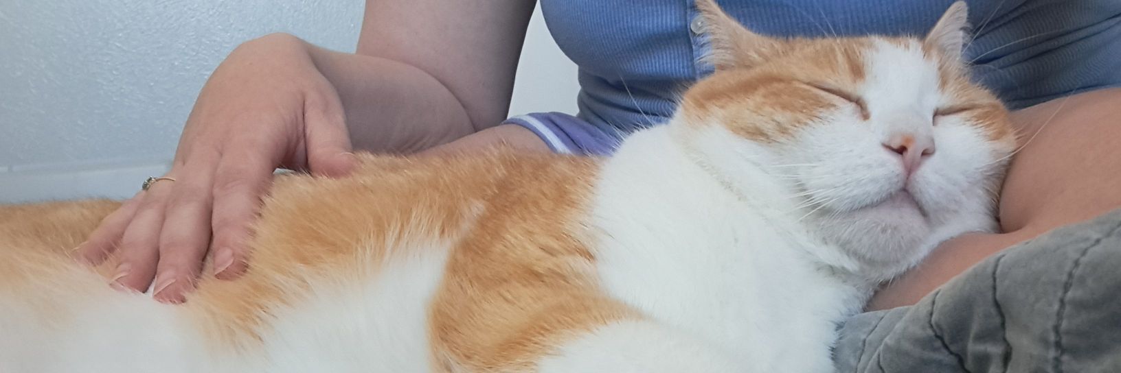 beccakate143's profile banner image