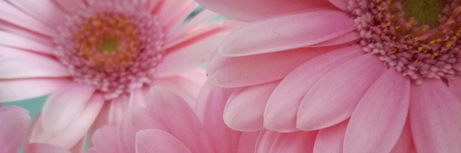 fiorbella1's profile banner image