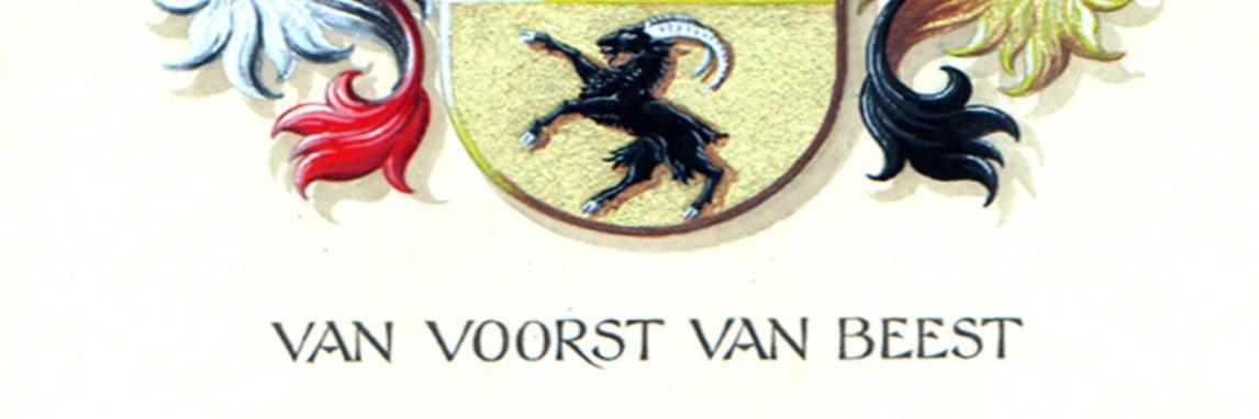wesselvvvb's profile banner image