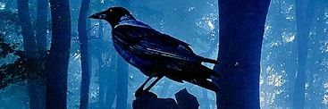 🇸🇦AZIZ 🇮🇹's banner