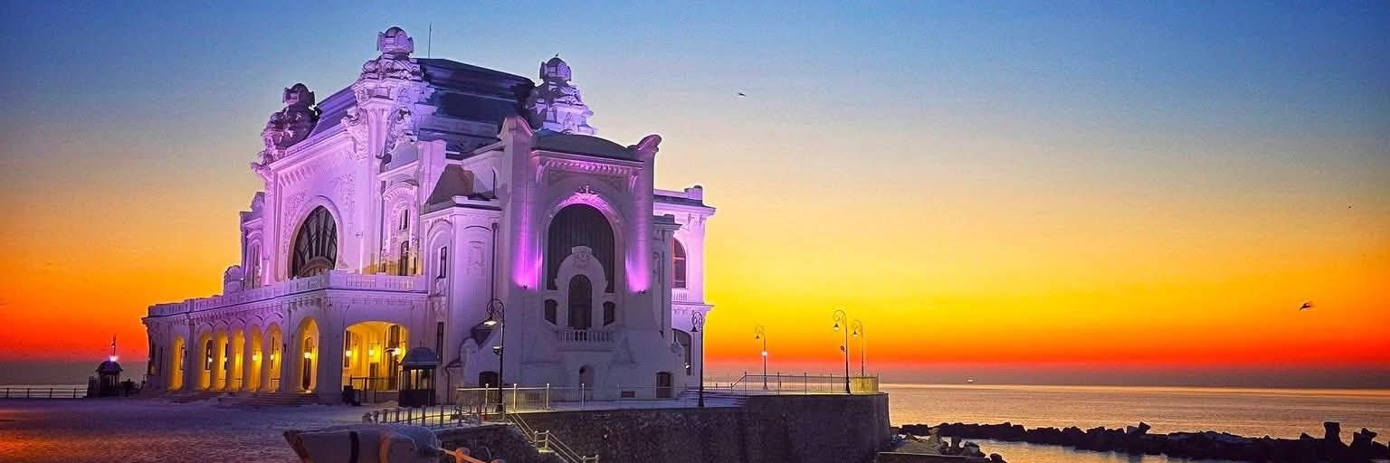 Brandusa Predescu banner