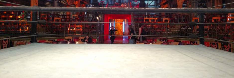 WWA Wrestling banner