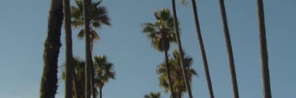 uscominghome Profile Banner