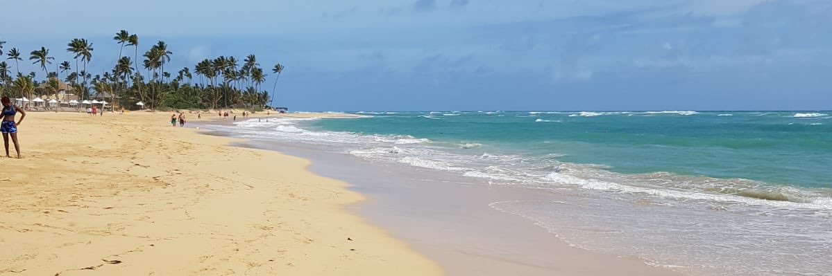 tinsel tits✨ banner