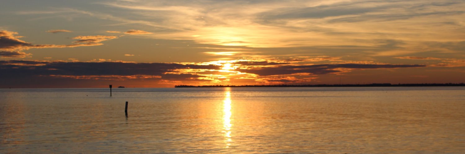kaylalindvall's profile banner image