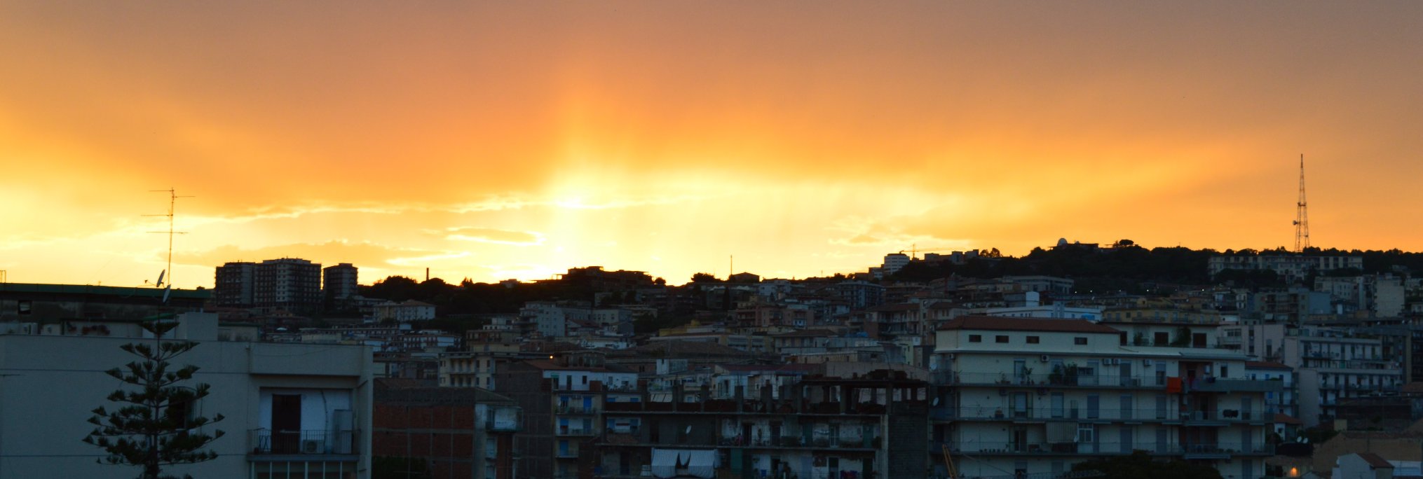 florietta's profile banner image