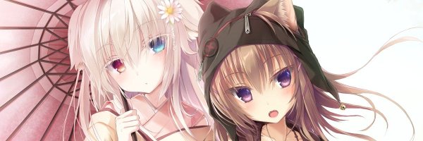 chamio77 Profile Banner