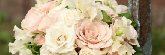 nadiaFull's profile banner image
