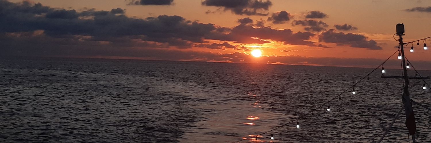 miichgala's profile banner image
