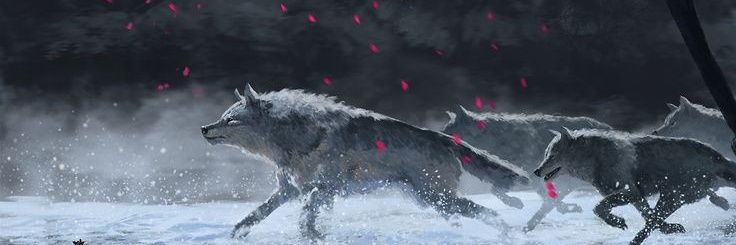 kingdm_of_heavn's profile banner image