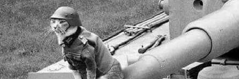 franlml38's profile banner image