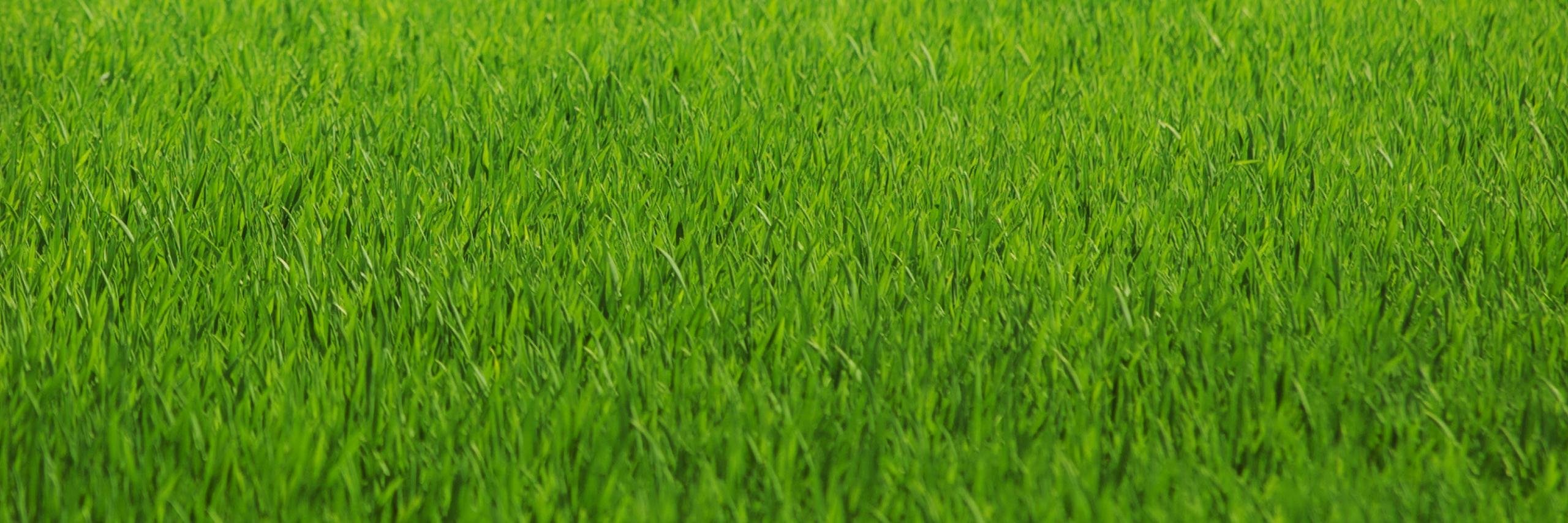JesperEss's profile banner image