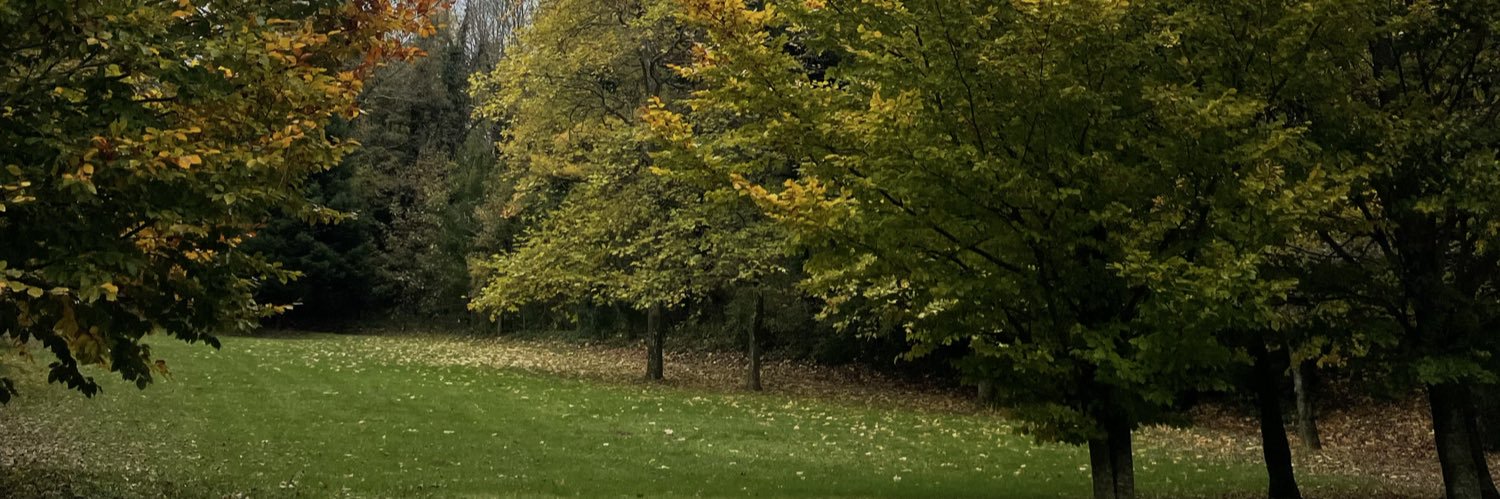 MMiroo__'s profile banner image