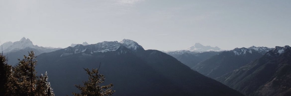 CarliKokott's profile banner image