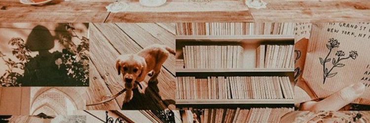 andresyhptra's profile banner image