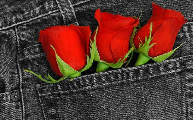 AOII's Wild Roses banner