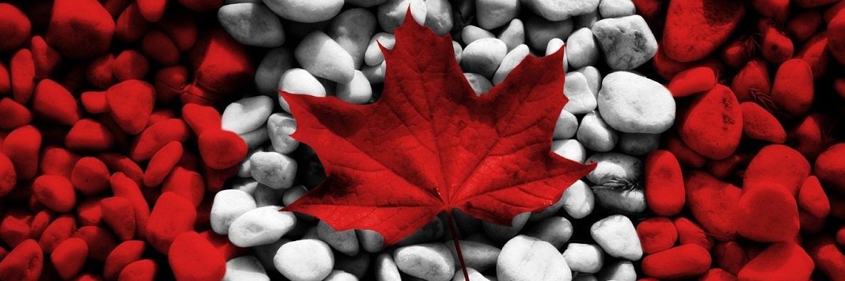 Gpgallagher78's profile banner image