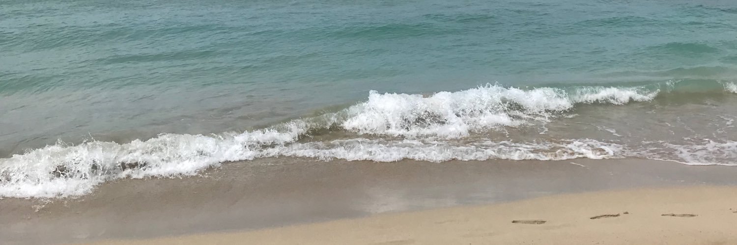 dom_trox's profile banner image