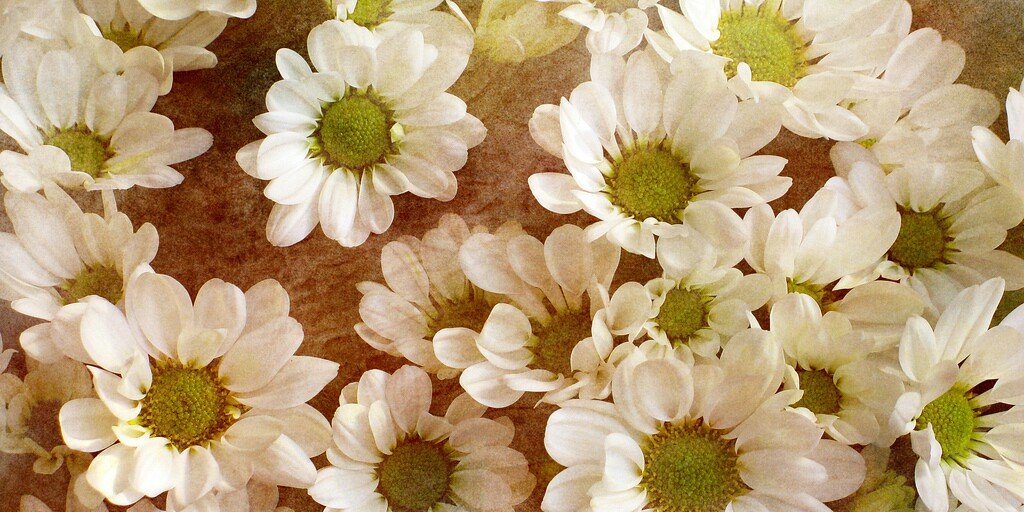 candrahand's profile banner image
