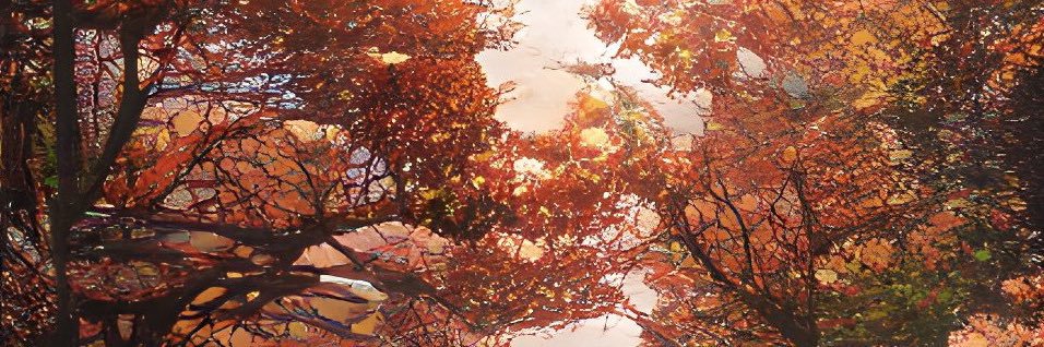 Rdr__Nelly's profile banner image