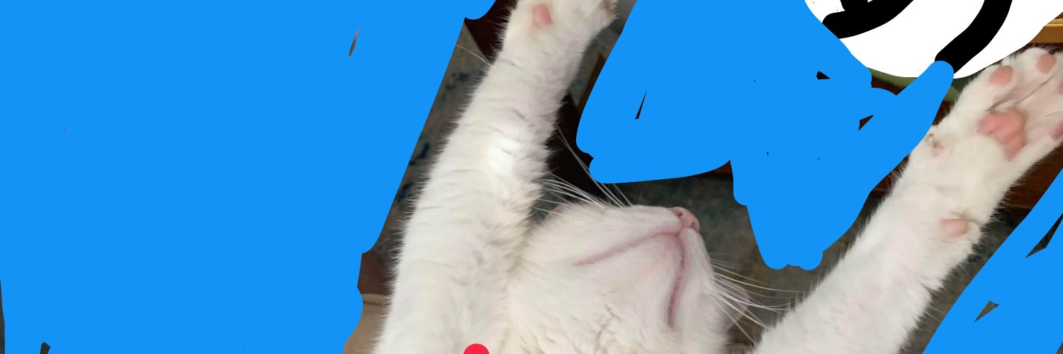 RobtheCarter's profile banner image